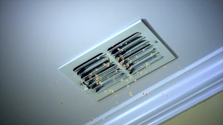 Best Duct Cleaning for Homes  in Shippensburg, PA